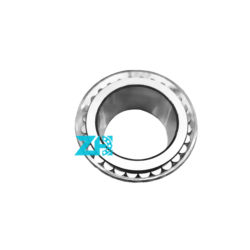 F-229575 Rodamiento de rodillos cilíndricos de doble fila de 38*55.9*29.5 mm para alta precisión y capacidad de carga