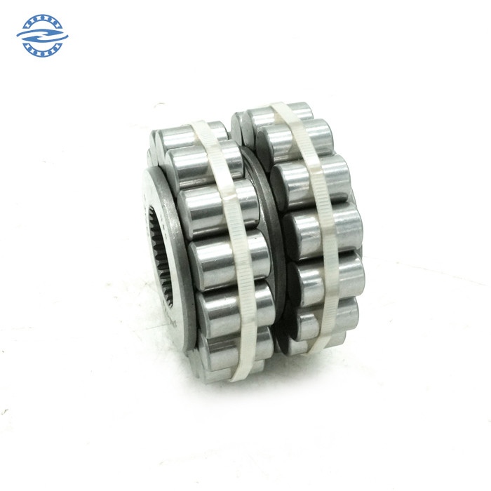 Marca 2LV45-1AG que lleva excéntrico de ZH para el tamaño 45×100×68m m del reductor