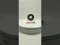 Se trata de una especie de especie de la familia de las carnívoras.